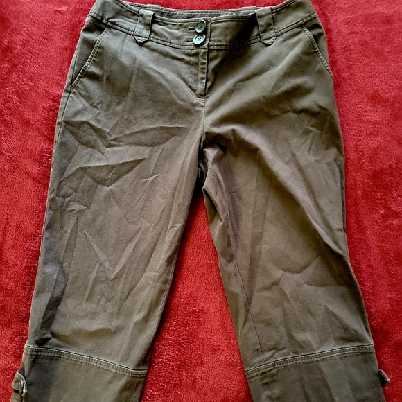 Ann Taylor Pants - NWOT WOMENS ANN TAYLOR LOFT PETITES SHORTS BROWN SIZE 4